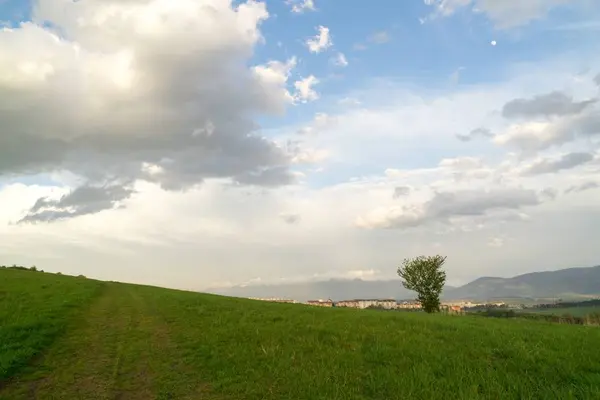 Grüne Bergwiesenlandschaft — Stockfoto