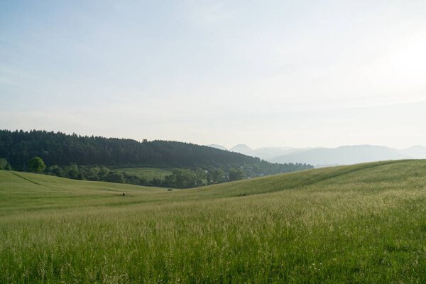 Beautiful Green meadow in Slovakia