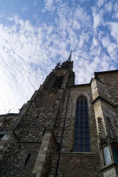 Brno Tsjechië Sep 2018 Kathedraal Van Peter Paul Het Centrum — Stockfoto