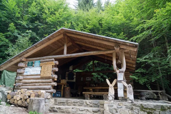 Toeristisch Kamp Het Bos Dag Tijd Schot — Stockfoto