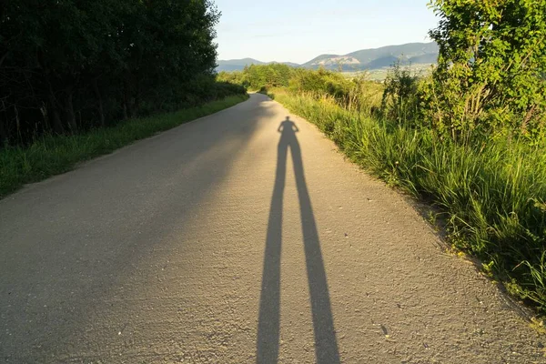 Lange Schaduw Van Een Vrouw Weg Het Bos Slowakije — Stockfoto