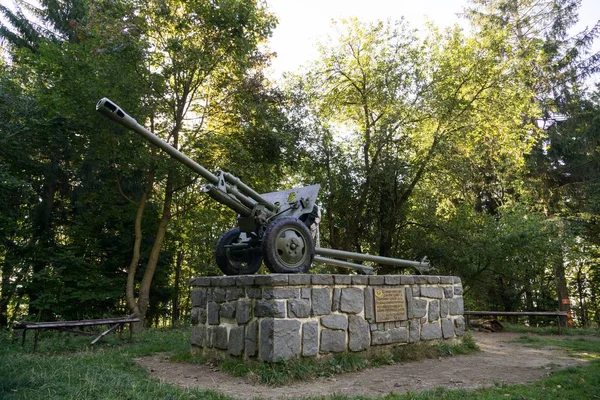 公園の旧軍用銃 — ストック写真