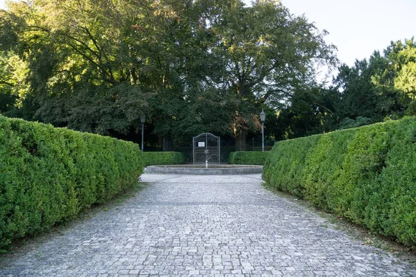 Groene Bomen Prachtig Park — Stockfoto