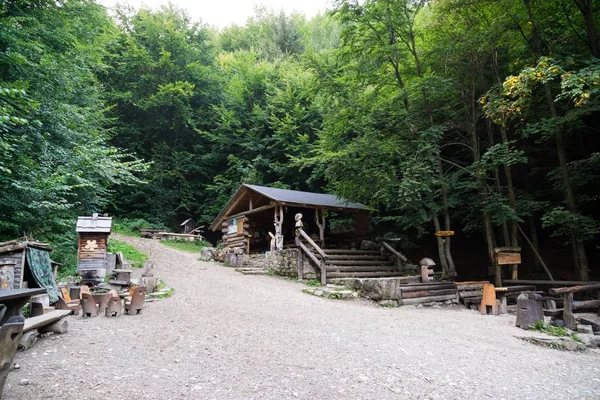 Turista Tábor Erdőben Nappali Felvétel — Stock Fotó