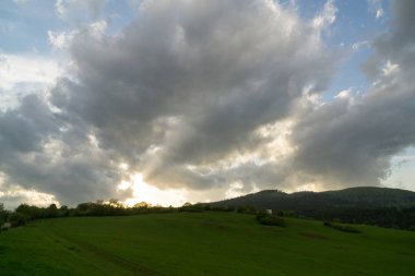 Yeşil dağ çayırı manzarası