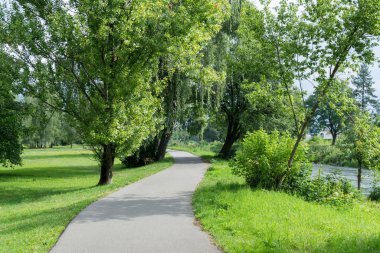 Ormandaki ağaçlar ve patikalar. Slovakya
