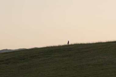 Tepedeki insan silueti, ön planda çimen çimenliği.