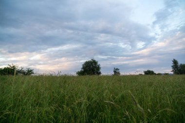 Slovakya 'da tepede güzel bir gün batımı