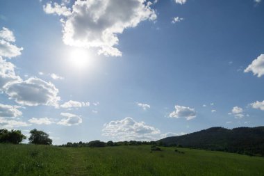 Slovakya 'da güzel yeşil çimenler