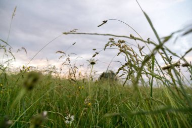 Slovakya 'da tepede güzel bir gün batımı