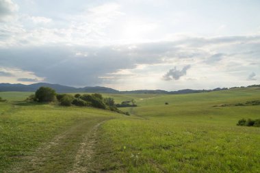 Slovakya 'da ağaçları olan güzel bir bahar tepesi