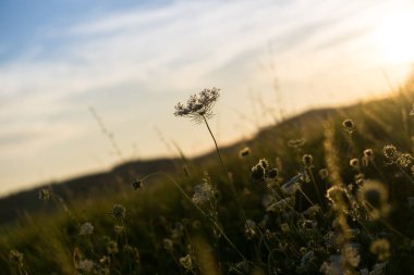 Tepelerve kasabaüzerinde gün doğumu ve gün batımı. Slovakya