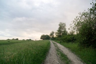 Slovakya 'da tepede güzel bir gün batımı