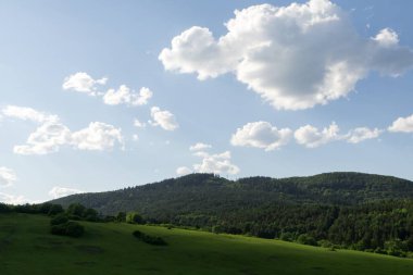 Slovakya 'da güzel yeşil çimenler