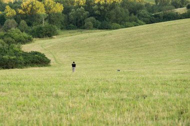 Tarlada köpekli bir adam. 