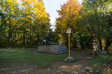 Doğadaki ağaçların üzerinde renkli sonbahar yaprakları. Slovakya