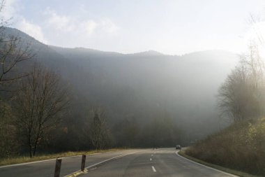 Güzel sonbahar ormanı sisli ve yollu