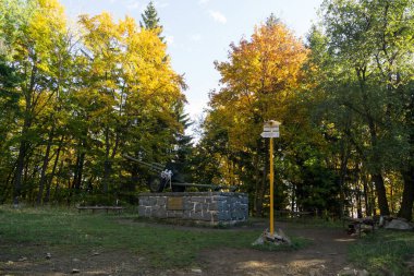 Doğadaki ağaçların üzerinde renkli sonbahar yaprakları. Slovakya