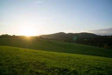 Ormandaki ağaçlar ve patikalar. Slovakya