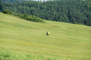 Ağaçlar ve manzaralı çayırda puslu bir sabah. Slovakya 
