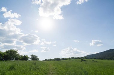 Slovakya 'da güzel yeşil çimenler