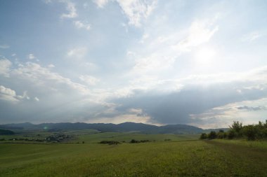 Slovakya 'da ağaçları olan güzel bir bahar tepesi