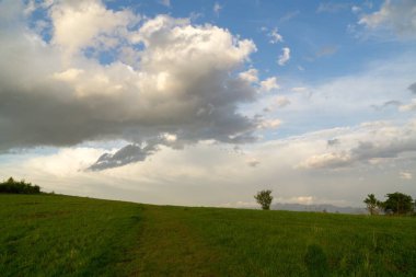Yeşil dağ çayırı manzarası