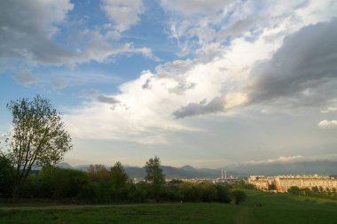 Yeşil dağ çayırı manzarası