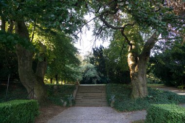 Güzel parkta yeşil ağaçlar 