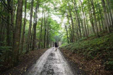 Ormanda yürüyen bir adam.