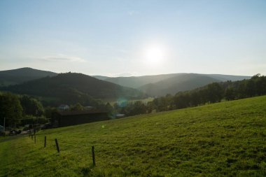 Ağaçları olan güzel bir bahar tepesi