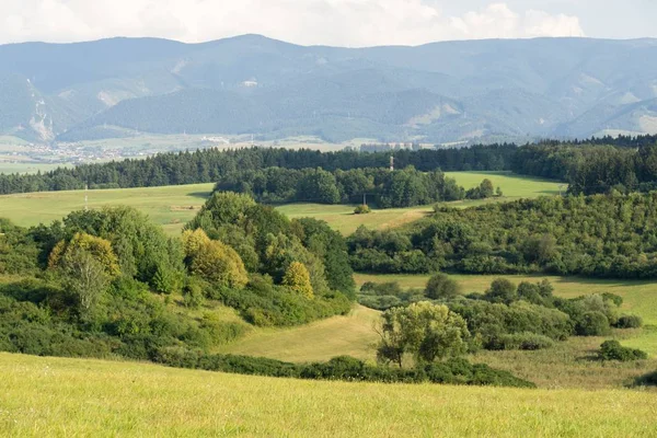 Mooie Lente Heuvel Met Bomen Slowakije — Stockfoto