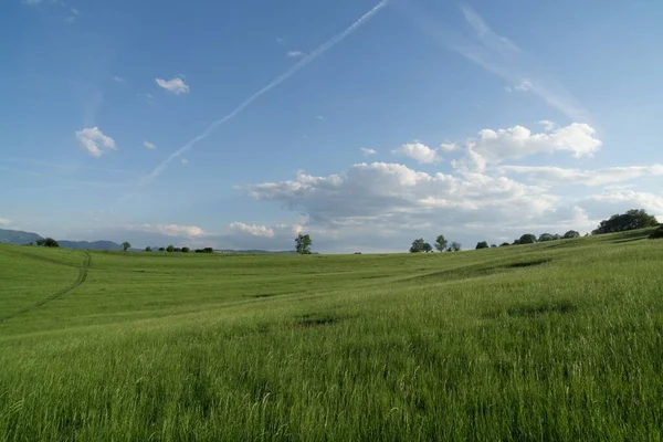Прекрасна Зелена Трава Словаччині — стокове фото