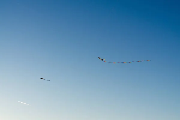 Vliegers Vliegen Blauwe Lucht — Stockfoto