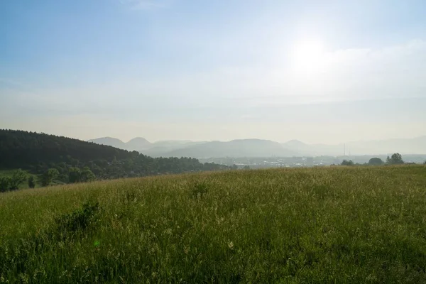beautiful Green meadow in  Slovakia