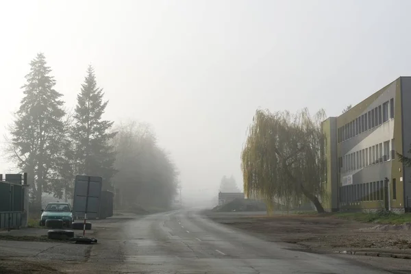 美丽的秋天森林 有雾和道路 — 图库照片