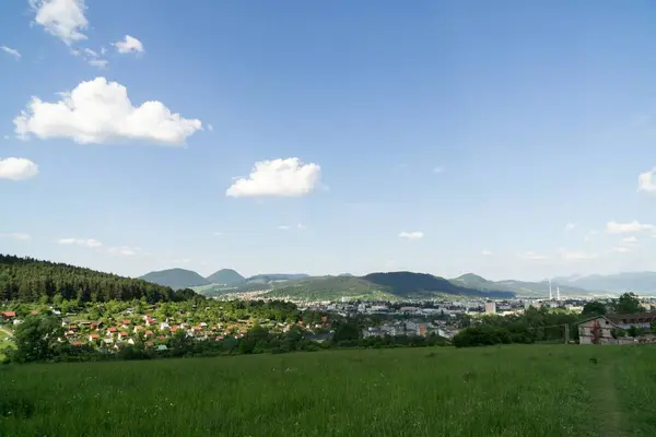 Hermosa Hierba Verde Eslovaquia — Foto de Stock