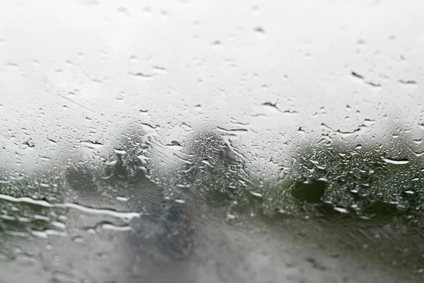 Bunte Wassertropfen Gras Nach Dem Regen — Stockfoto