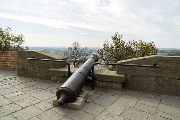 要塞の古い大砲を背景に — ストック写真