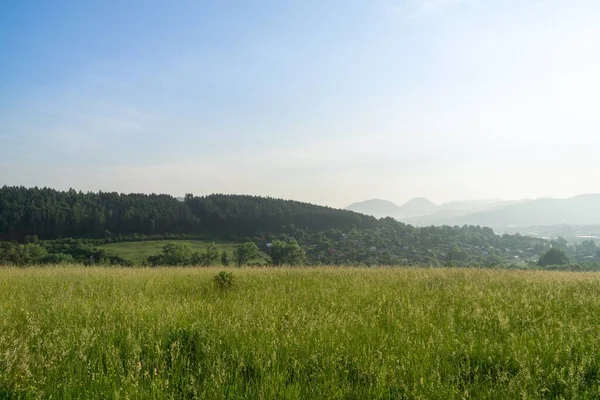 Bellissimo Prato Verde Slovacchia — Foto Stock