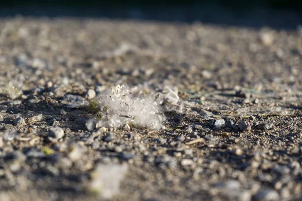 Piccola Sabbia Sulla Spiaggia — Foto Stock