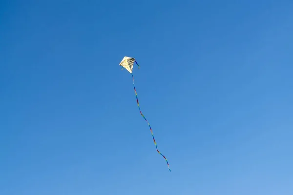 Papagaio Voando Céu Azul — Fotografia de Stock