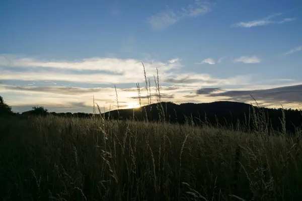 Campo Agricolo Sotto Cielo Nuvoloso Tramonto — Foto Stock