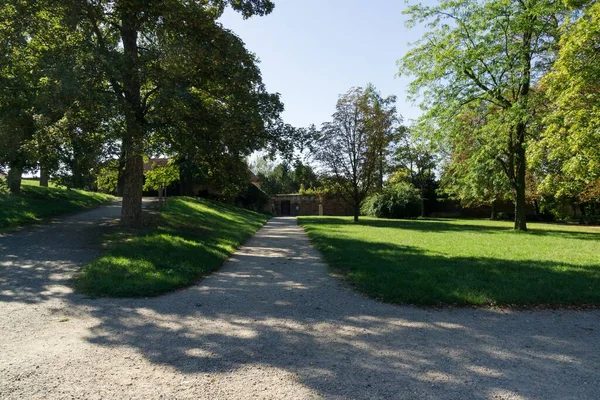 Groene Bomen Prachtig Park Met Pad — Stockfoto