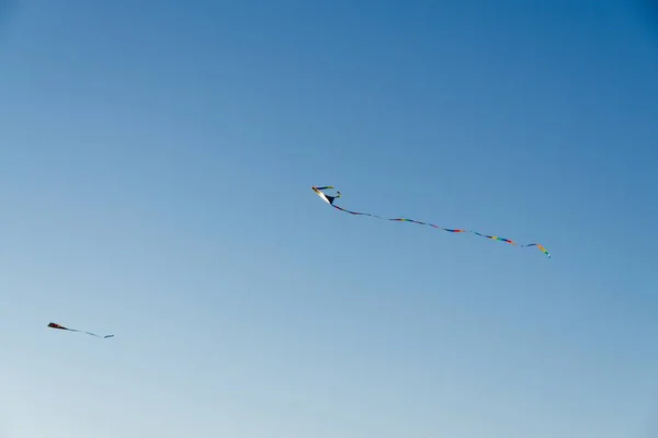 Papagaio Voando Céu Azul — Fotografia de Stock