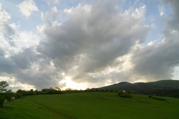 Grüne Bergwiesenlandschaft — Stockfoto