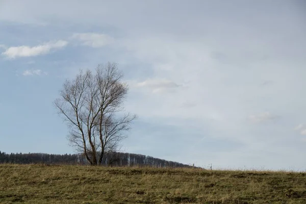 Krásný Západ Slunce Nad Polem Slovensku — Stock fotografie