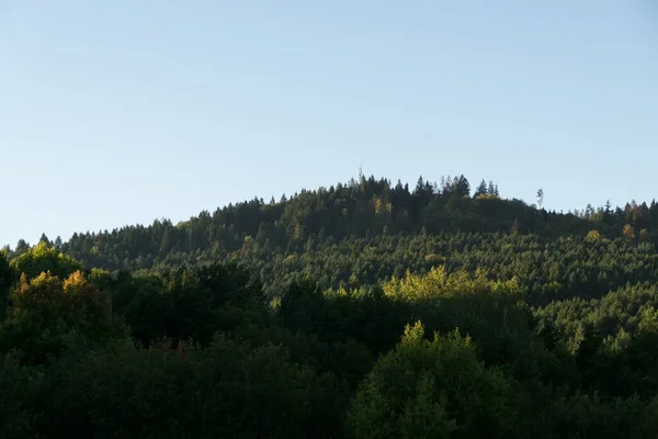 Kleurrijke Herfstbomen Natuur Slowakije — Stockfoto