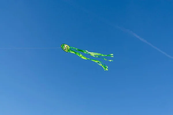 Papagaio Voando Céu Azul — Fotografia de Stock