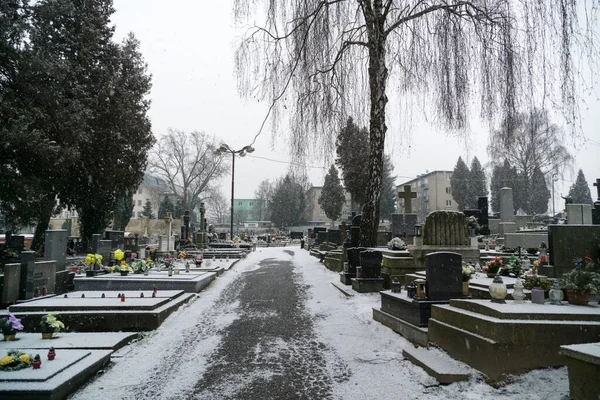 ジリナ スロバキア 2018年2月13日 冬の雪に覆われた墓地 スロバキア — ストック写真